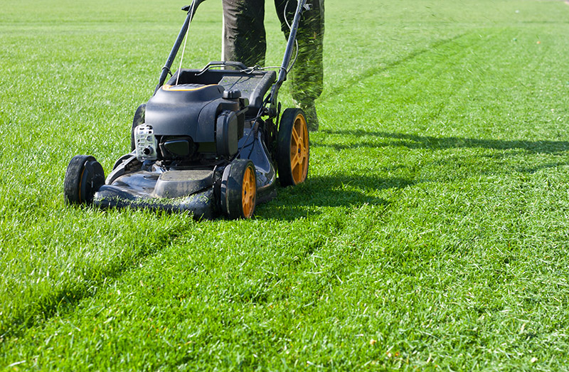 How Do You Landscape Around an Air Conditioner?