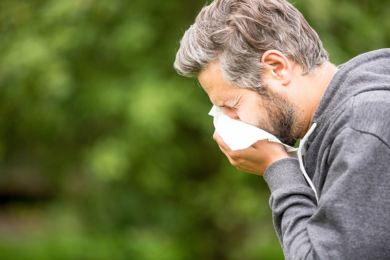 Seasonal Allergies